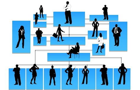 Estructura Organizativa .